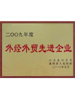 外經(jīng)外貿(mào)先進企業(yè)
